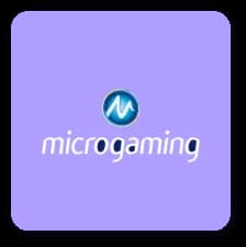 Micro Gaming