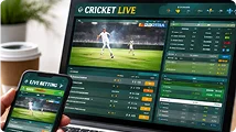 cricket betting software
