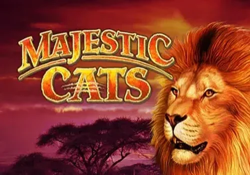 Majestic Cats by High 5 Games